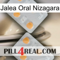 Nizagara Oral Jelly 25